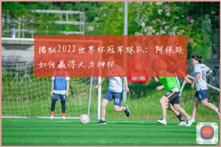 揭秘2022世界杯冠军球队：阿根廷如何赢得大力神杯
