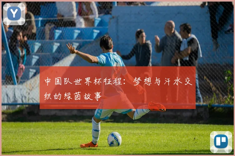 中国队世界杯征程:梦想与汗水交织的绿茵故事