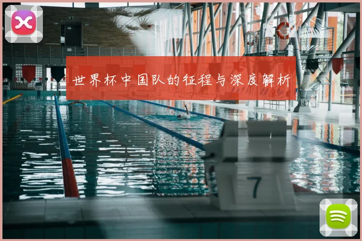 世界杯中国队的征程与深度解析