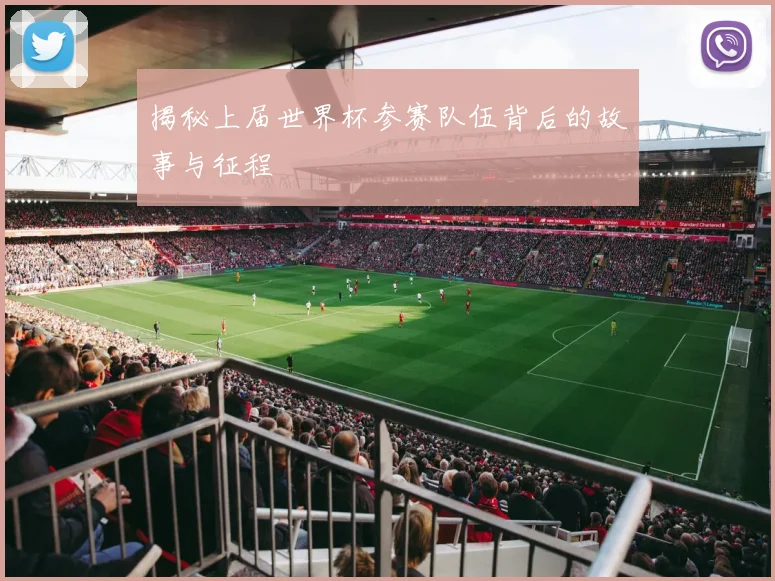 揭秘上届世界杯参赛队伍背后的故事与征程