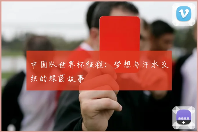 中国队世界杯征程：梦想与汗水交织的绿茵故事