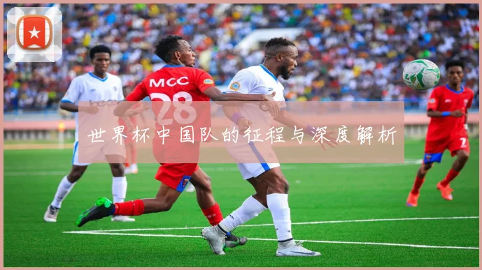 世界杯中国队的征程与深度解析
