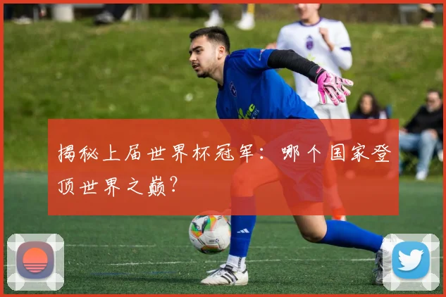 揭秘上届世界杯冠军：哪个国家登顶世界之巅？