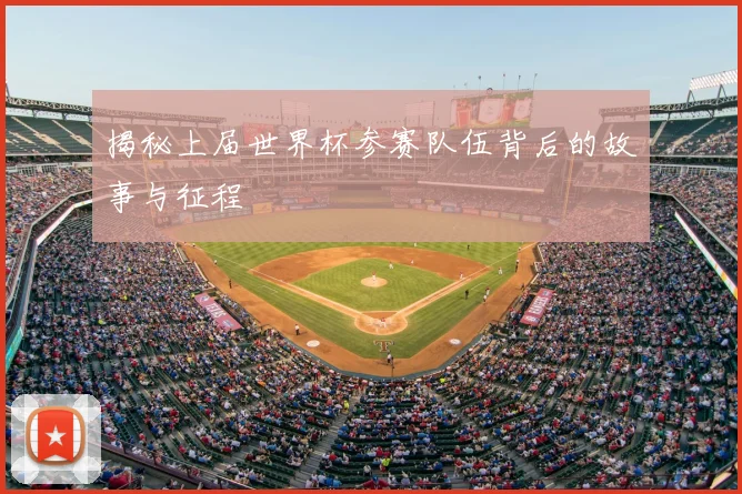 揭秘上届世界杯参赛队伍背后的故事与征程