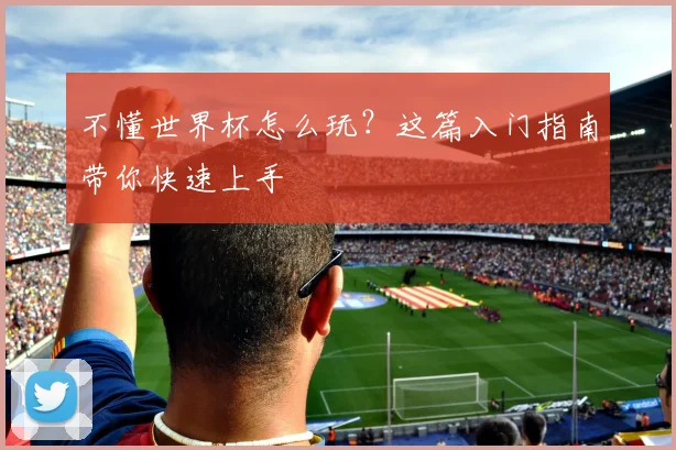不懂世界杯怎么玩?这篇入门指南带你快速上手